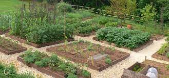 Guide to Landscaping Your Vegetable Patch