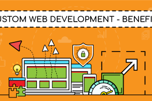 Advantages of Custom Web Application Development